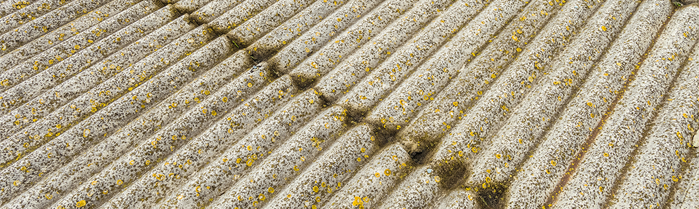 asbestos in home 